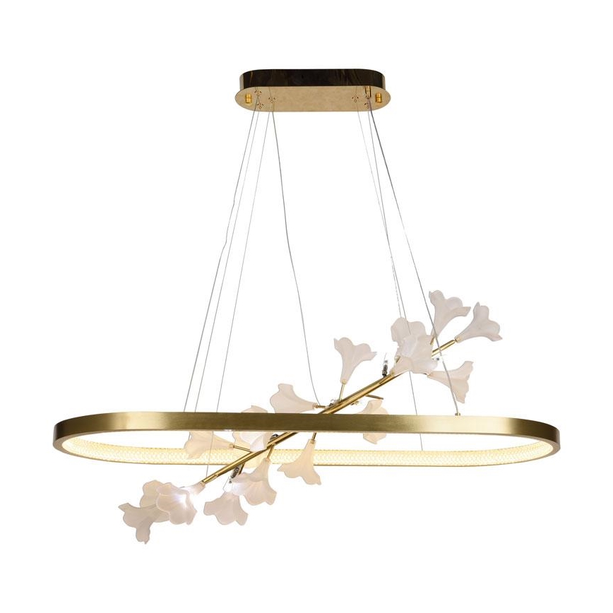 LED reguliuojamas šviestuvas ant laido LED/55W/230V 3000-6500K + nuotolinis valdymas