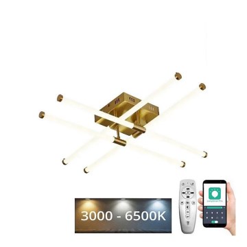 LED reguliuojamas paviršinis šviestuvas LED/30W/230V 3000-6500K + nuotolinis valdymas
