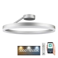 LED reguliuojamas paviršinis šviestuvas LED/40W/230V 3000-6500K matinis chromas + nuotolinio valdymo pultas