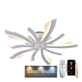 LED Reguliuojamas paviršinis šviestuvas LED/55W/230V 3000-6500K + nuotolinio valdymo pultas