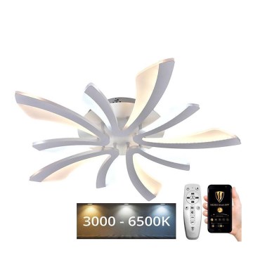 LED Reguliuojamas paviršinis šviestuvas LED/55W/230V 3000-6500K + nuotolinio valdymo pultas