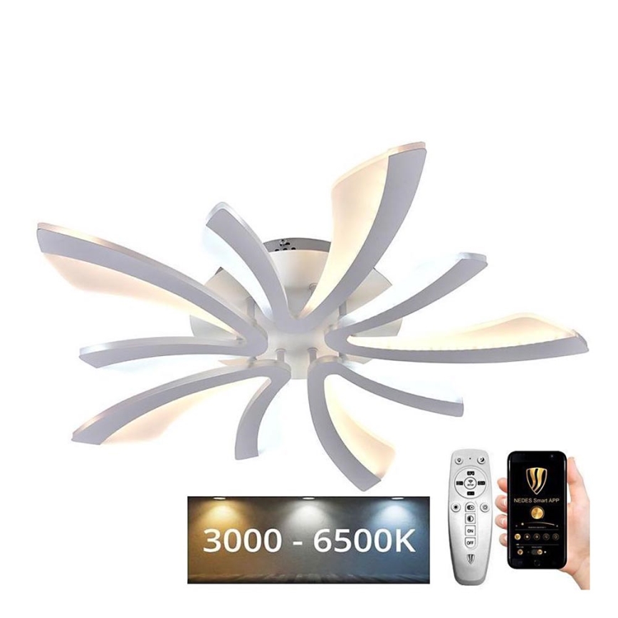 LED Reguliuojamas paviršinis šviestuvas LED/55W/230V 3000-6500K + nuotolinio valdymo pultas