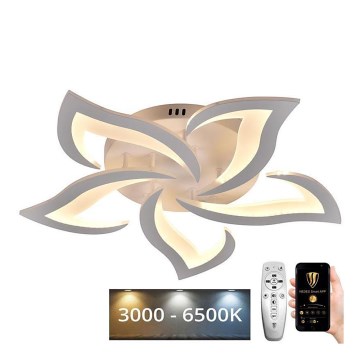 LED Reguliuojamas paviršinis šviestuvas LED/55W/230V 3000-6500K + nuotolinio valdymo pultas