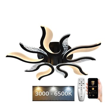 LED reguliuojamas paviršinis šviestuvas LED/65W/230V 3000-6500K juodas + nuotolinio valdymo pultas