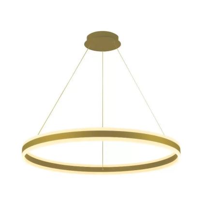 LED reguliuojamas šviestuvas ant laido LED/110W/230V 3000-6500K skersmuo 80 cm + nuotolinis valdymas