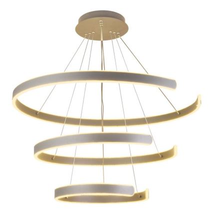 LED reguliuojamas šviestuvas ant laido LED/220W/230V 3000-6500K skersmuo 80 cm + nuotolinis valdymas