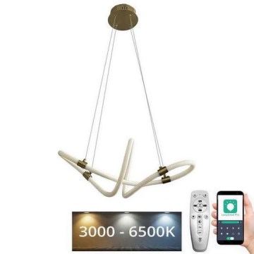 LED reguliuojamas šviestuvas ant laido LED/25W/230V 3000-6500K + nuotolinis valdymas