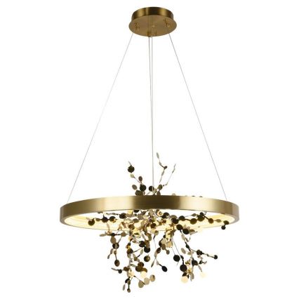LED Reguliuojamas šviestuvas ant laido LED/40W/230V 3000-6500K auksinis + nuotolinio valdymo pultas