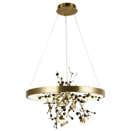 LED Reguliuojamas šviestuvas ant laido LED/40W/230V 3000-6500K auksinis + nuotolinio valdymo pultas