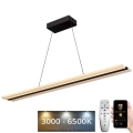 LED reguliuojamas šviestuvas ant laido LED/40W/230V 3000-6500K juodas + nuotolinis valdymas