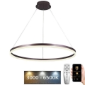 LED reguliuojamas šviestuvas ant laido LED/55W/230V 3000-6500K skersmuo 80 cm + nuotolinis valdymas