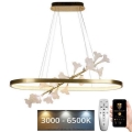 LED reguliuojamas šviestuvas ant laido LED/65W/230V 3000-6500K + nuotolinis valdymas