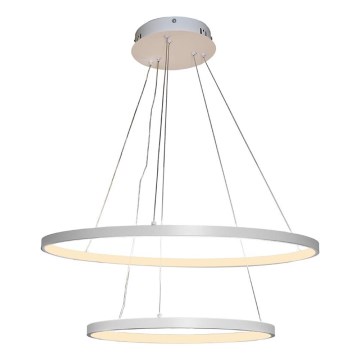 LED reguliuojamas šviestuvas ant laido LED/75W/230V 3000-6500K skersmuo 60 cm + nuotolinis valdymas