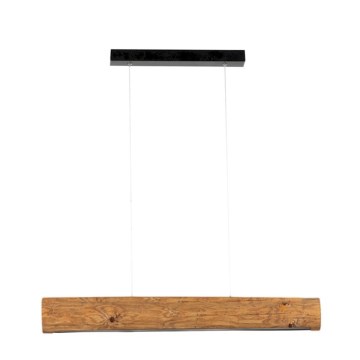LED Reguliuojamas šviestuvas ant laido LUCAS LED/25,5W/230V pušis