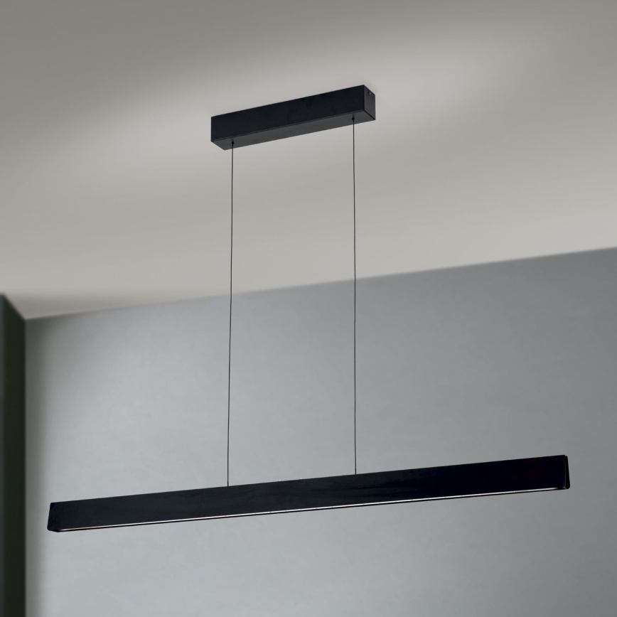 LED Reguliuojamas šviestuvas ant laido TARA LED/44W/230V 2700/3800/4500/5700K juodas