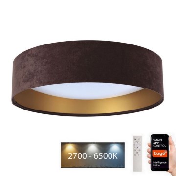 LED Reguliuojamas šviestuvas SMART GALAXY LED/24W/230V d. 45 cm Wi-Fi Tuya + valdymo pultas