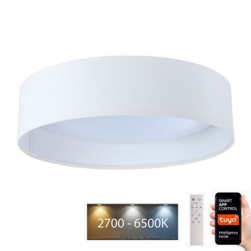 LED Reguliuojamas šviestuvas SMART GALAXY LED/24W/230V d. 45 cm Wi-Fi Tuya + valdymo pultas