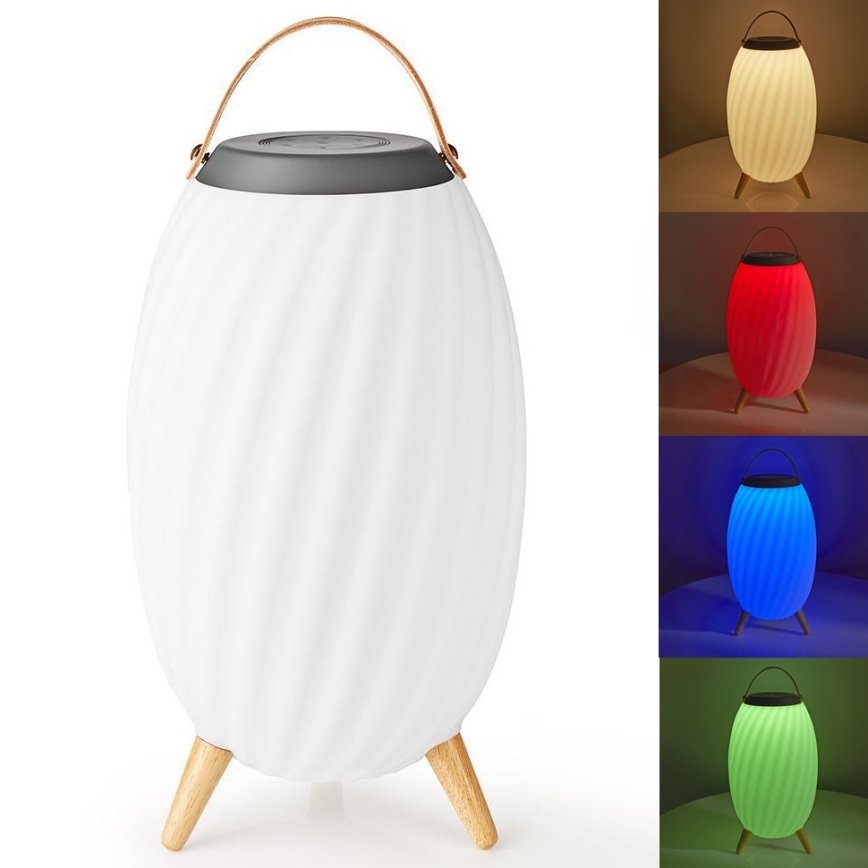 LED RGB Įkraunamas Stalinis šviestuvas su kolonėle 60W/2200 mAh IPX5