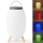 LED RGB Įkraunamas Stalinis šviestuvas su kolonėle 60W/2200 mAh IPX5