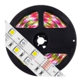 LED RGB pritemdoma juosta 5m LED / 19W / 12V IP65