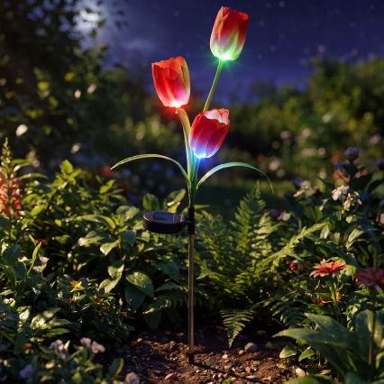 LED RGB saulės dekoratyvinis šviestuvas 3xLED/3,7V 200 mAh IP44 tulpė