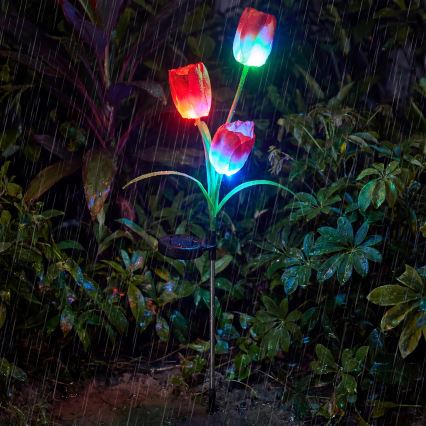 LED RGB saulės dekoratyvinis šviestuvas 3xLED/3,7V 200 mAh IP44 tulpė