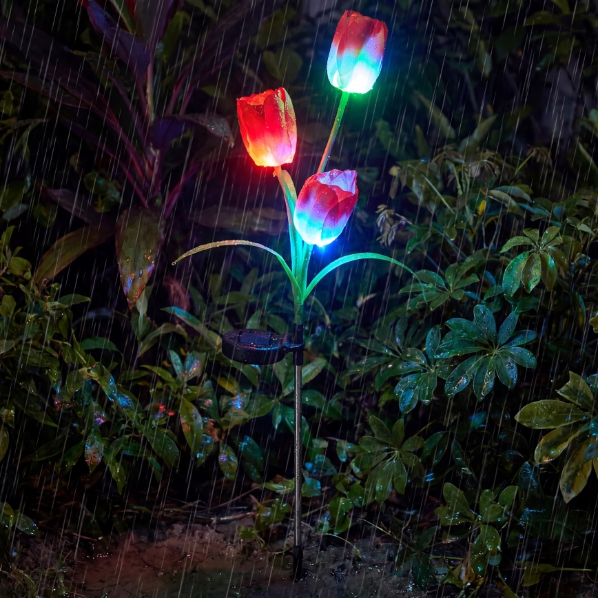 LED RGB saulės dekoratyvinis šviestuvas 3xLED/3,7V 200 mAh IP44 tulpė