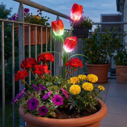 LED RGB saulės dekoratyvinis šviestuvas 3xLED/3,7V 200 mAh IP44 tulpė