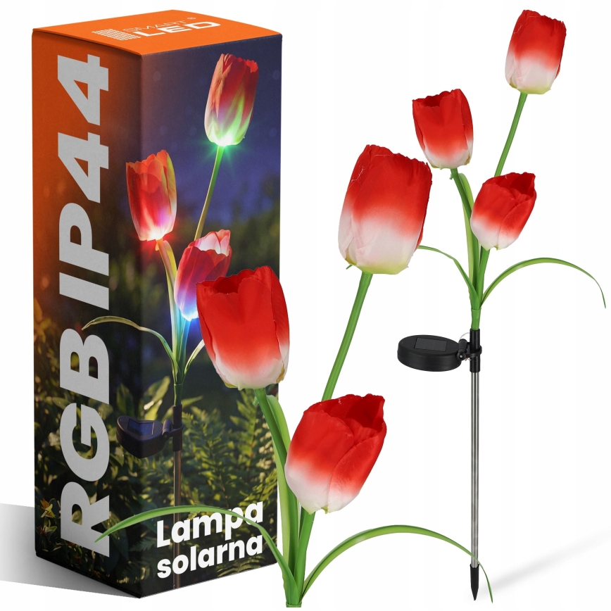LED RGB saulės dekoratyvinis šviestuvas 3xLED/3,7V 200 mAh IP44 tulpė