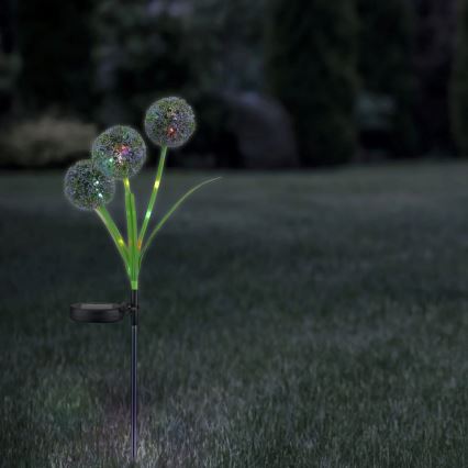 LED RGB šviestuvas, įkraunamas saulės energija ALLIUM LED/1,2V 6500 600 mAh IP44 juoda