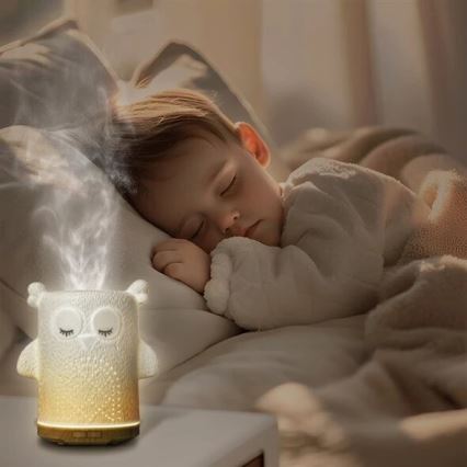 LED RGBW Aromato difuzorius LED/8W/230V 100 ml pelėda