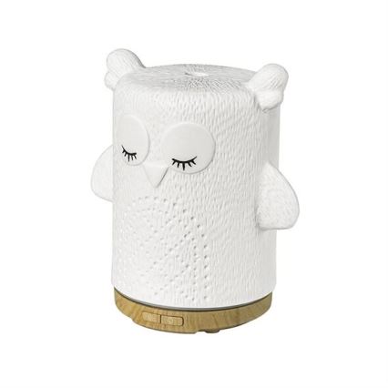 LED RGBW Aromato difuzorius LED/8W/230V 100 ml pelėda
