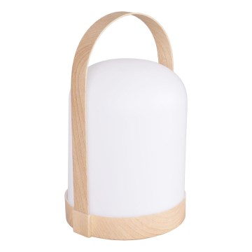 LED RGBW dekoratyvinė stalinė lempa MINORKA LED/0,3W/4,5V 3xAA