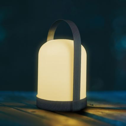LED RGBW dekoratyvinė stalinė lempa MINORKA LED/0,3W/4,5V 3xAA