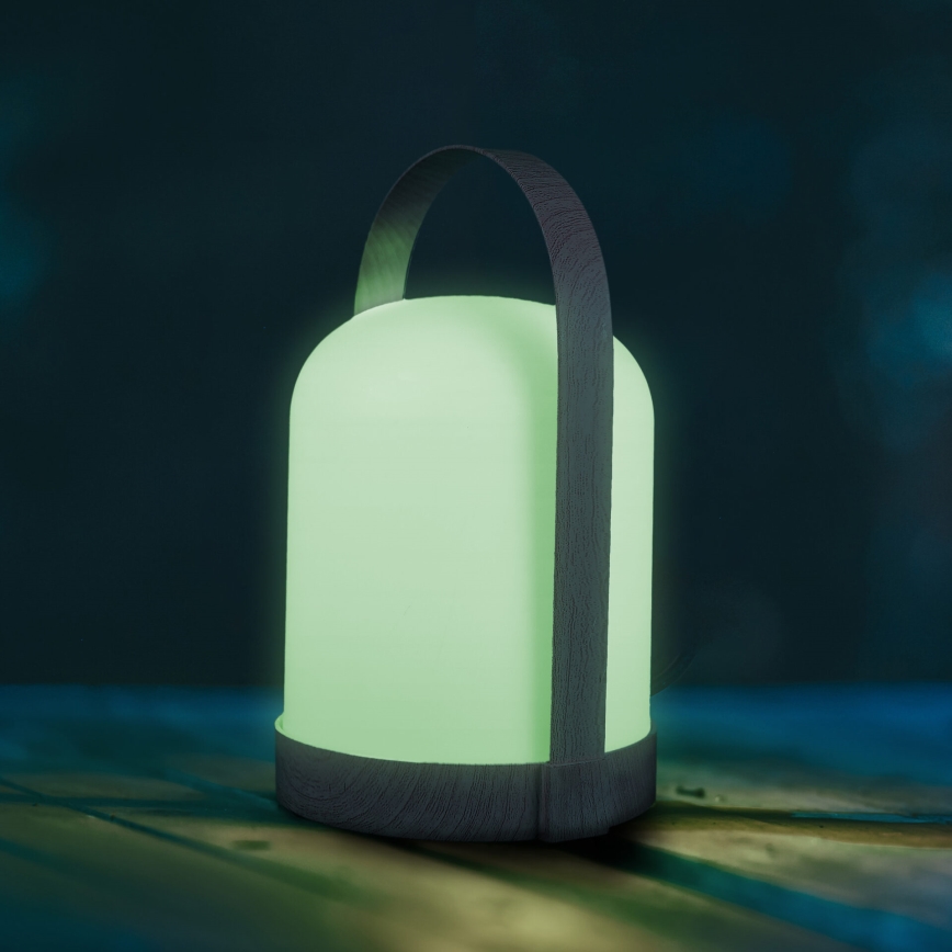 LED RGBW dekoratyvinė stalinė lempa MINORKA LED/0,3W/4,5V 3xAA
