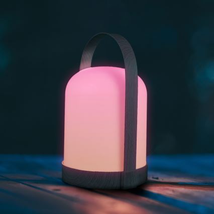 LED RGBW dekoratyvinė stalinė lempa MINORKA LED/0,3W/4,5V 3xAA