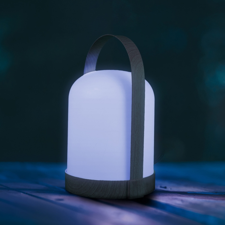 LED RGBW dekoratyvinė stalinė lempa MINORKA LED/0,3W/4,5V 3xAA