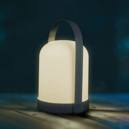 LED RGBW dekoratyvinė stalinė lempa MINORKA LED/0,3W/4,5V 3xAA