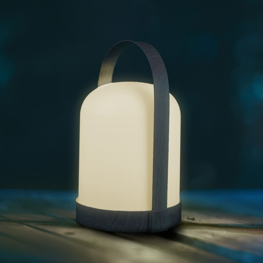 LED RGBW dekoratyvinė stalinė lempa MINORKA LED/0,3W/4,5V 3xAA