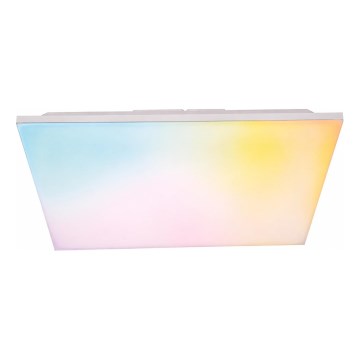LED RGBW dimeriuojama paviršinė LED panelė/24W/230V 2700-6500K balta + su nuotoliniu pulteliu