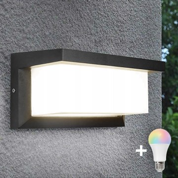 LED RGBW dimeriuojamas lauko sieninis šviestuvas NEELY 1xE27/9W/230V 2700-6500K IP54 Wi-Fi antracitas