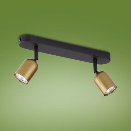 LED RGBW dimeriuojamas taškinis šviestuvas TOP 2xGU10/6,5W/230V 2700-6500K auksinė/juoda