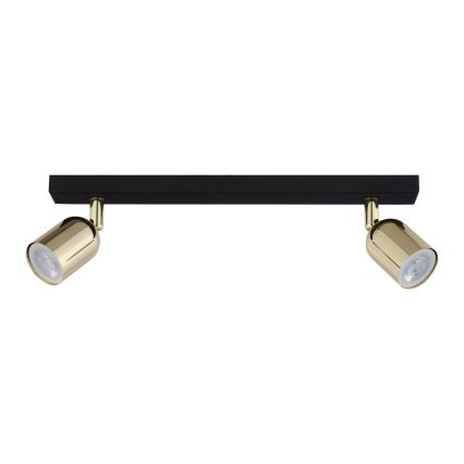 LED RGBW Dimeriuojamas taškinis šviestuvas TOP 2xGU10/6,5W/230V 2700-6500K juodas/auksinis