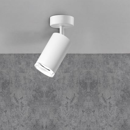 LED RGBW Dimeruojama vonios lubų šviestuvas TURYN 1xGU10/6,5W/230V 2700-6500K Wi-Fi IP44 baltas