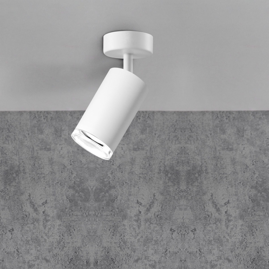 LED RGBW Dimeruojama vonios lubų šviestuvas TURYN 1xGU10/6,5W/230V 2700-6500K Wi-Fi IP44 baltas