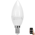 LED RGBW Elektros lemputė C37 E14/6,5W/230V 2700-6500K - Aigostar