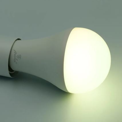 LED RGBW Reguliuojama lemputė A60 E27/15W/230V 2700-6500K Wi-Fi Tuya
