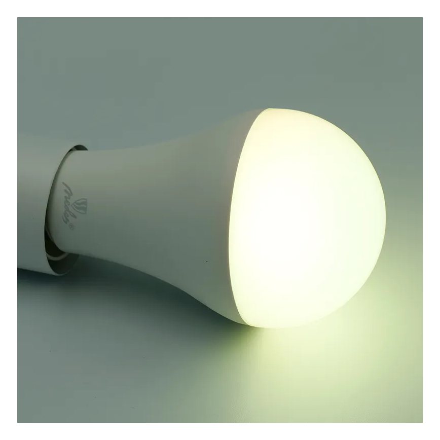 LED RGBW Reguliuojama lemputė A60 E27/15W/230V 2700-6500K Wi-Fi Tuya