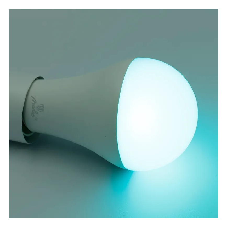 LED RGBW Reguliuojama lemputė A60 E27/15W/230V 2700-6500K Wi-Fi Tuya