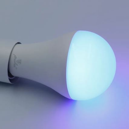 LED RGBW Reguliuojama lemputė A60 E27/15W/230V 2700-6500K Wi-Fi Tuya